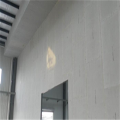 望城新型建筑材料掺多种工业废渣的ALC|ACC|FPS模块板材轻质隔墙板